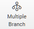 icon Multiple Branch