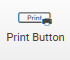 icon Print Button